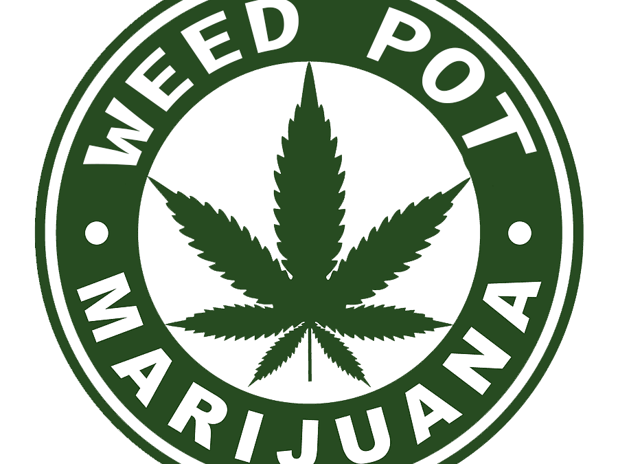 Miami Lakes Florida Marijuana Dispensary Store Near Me