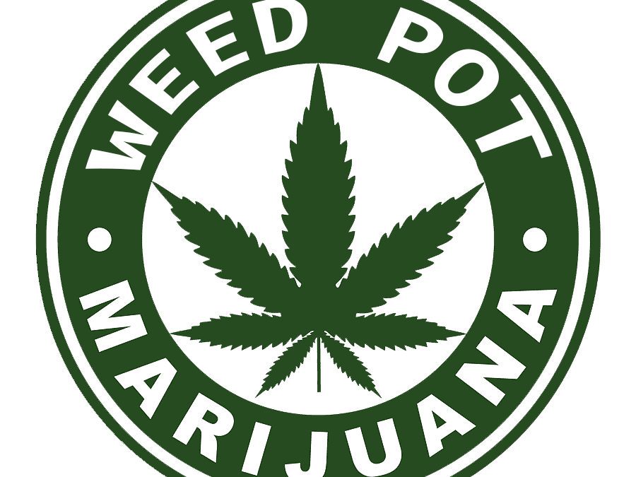 Sunrise Florida Weed Dispensary Store Near Me