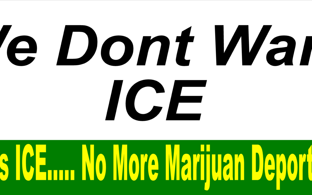 LA Immigration Riot Marijuana Use