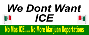 LA Immigration Riot Marijuana Use